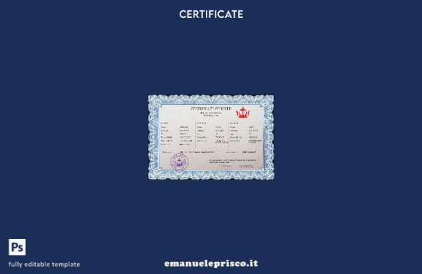 modello PSD del certificato di nascita del certificato di stato civile del Brune